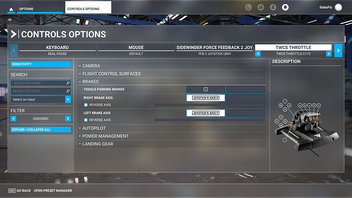 Microsoft Flight Simulator 2024-06-26 19_02_02