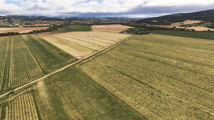 Sant'Illuminato (LIAL) 1