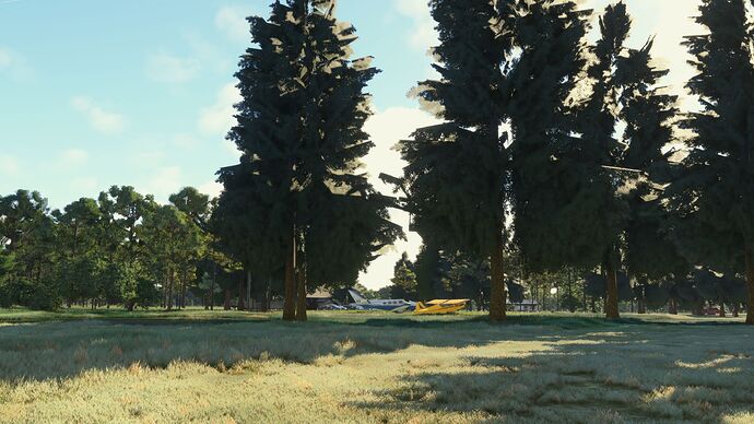 2026.02.28 - 17.58.23.05 Rossi Airfield (FL50)