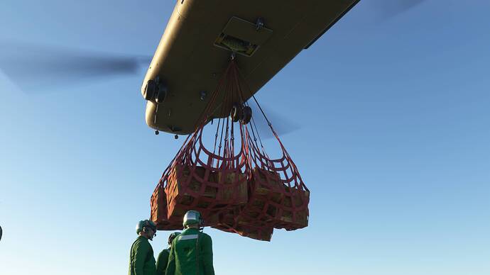 Microsoft Flight Simulator-2025_02_04-21-31-15