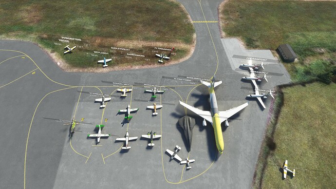 Microsoft Flight Simulator 17_03_2023 20_48_55