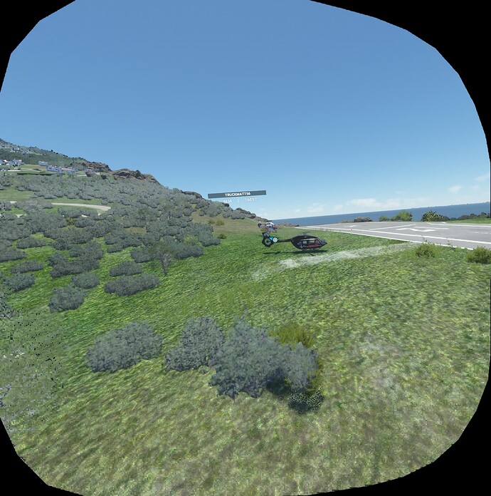 FS2020_20220612_191710_NIS_85_20_L