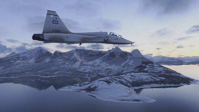 MicrosoftFlightSimulator2024_20260111145121_.jpg.5535f8a61f258b44913f2ac395a12e7a