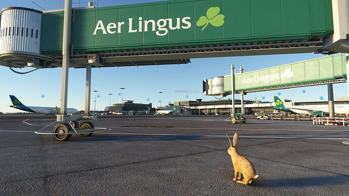 Microsoft Flight Simulator-2023_10_27-02-26-28