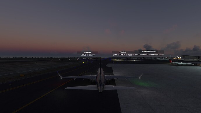 Microsoft Flight Simulator 4_10_2024 10_29_12 AM
