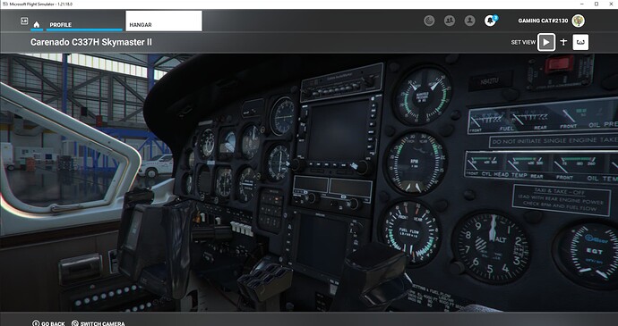 Microsoft Flight Simulator 15.01.2022 22_15_43