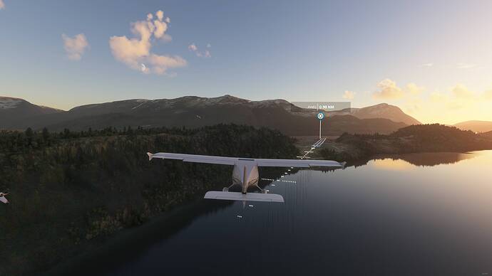 Microsoft Flight Simulator - 1.17.3.0 17.07.2021 21_28_50