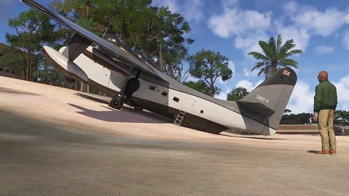Grumman Albatross Squat