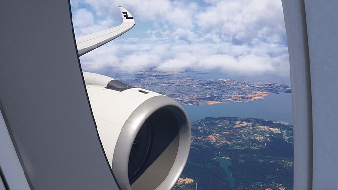 Microsoft Flight Simulator 2024-2025_07_30-03-07-58