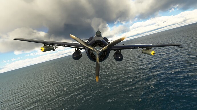 Cockpit.PNG.PNG.PNG.PNG