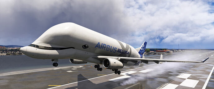 Microsoft Flight Simulator 2024 Screenshot 2026.08.22 - 17.18.16.63