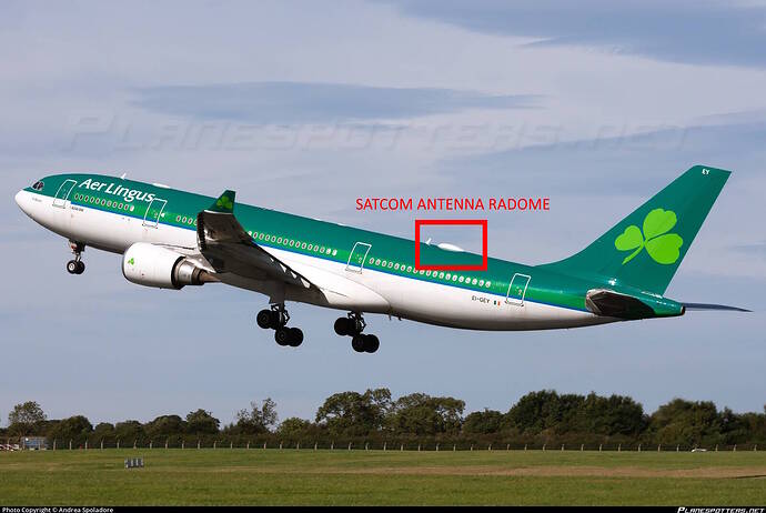 ei-gey-aer-lingus-airbus-a330-202_PlanespottersNet_1046213_85b9ffce4d_o