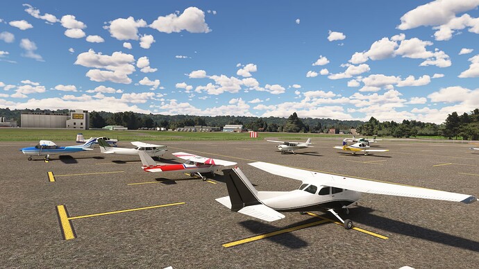 Microsoft Flight Simulator-2024_04_06-18-55-30