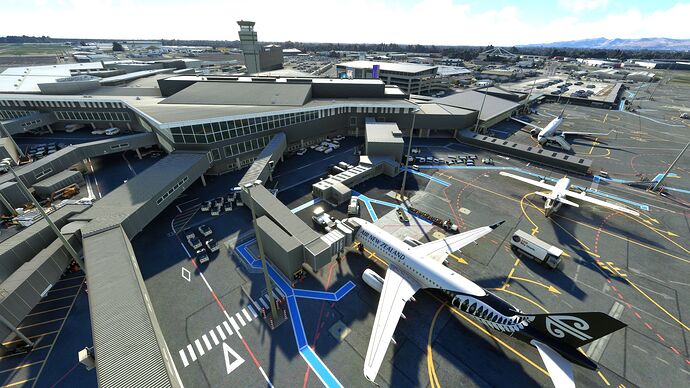 Microsoft Flight Simulator 24_02_2023 20_41_06
