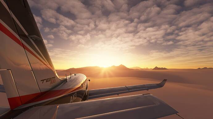 Microsoft Flight Simulator 17.05.2021 15_56_21 - Copy