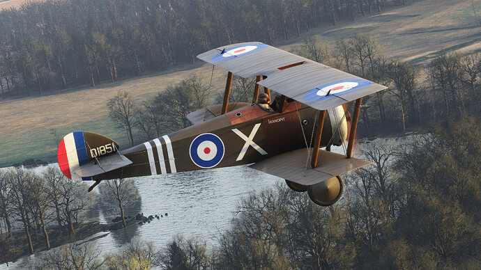 55121645324_542cee8971_4k