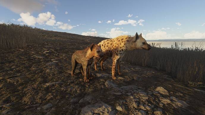 Screenshot noUI 10.PNG