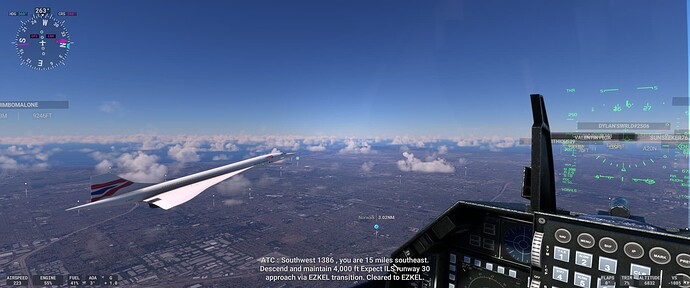 Microsoft Flight Simulator 4_17_2022 10_49_53 PM