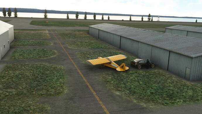 Microsoft Flight Simulator Screenshot 2023.10.27 - 08.01.48.84