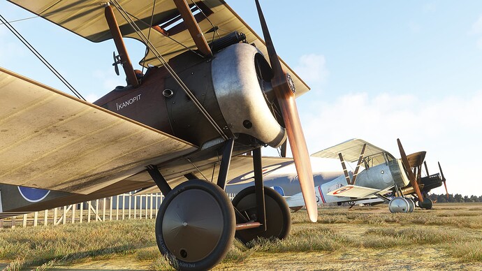 54696383377_669696fa79_k