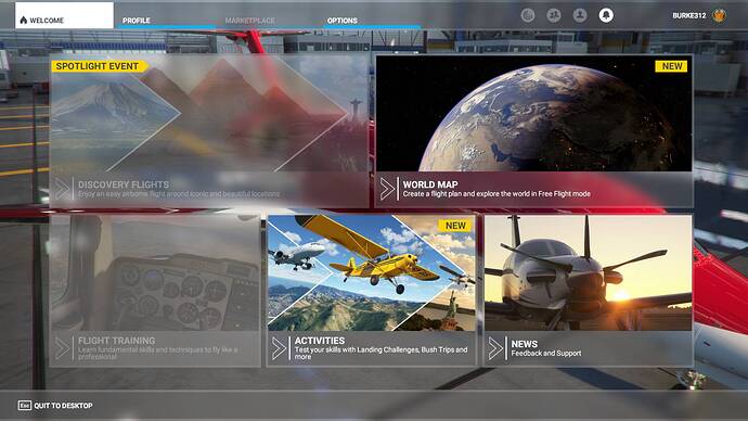 Microsoft Flight Simulator Screenshot 2021.08.03 - 12.43.20.41