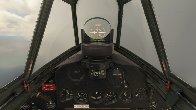 2024-08-25 12_45_51-Microsoft Flight Simulator - 1.37.19.0