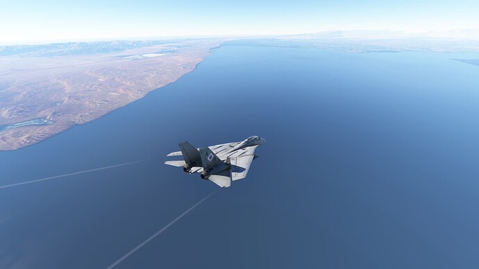 Microsoft Flight Simulator-2025_02_09-11-53-57
