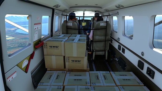 Microsoft Flight Simulator - 1.21.13.0 19.12.2021 19_51_08