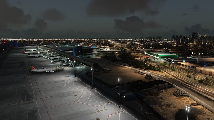 Microsoft Flight Simulator 2024 Screenshot 2026.02.02 - 21.48.19.91