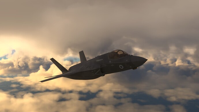 Microsoft Flight Simulator (5)