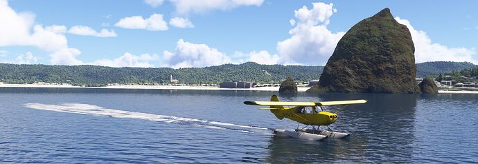 Microsoft Flight Simulator 2024 6_25_2025 12_00_02 PM_upload