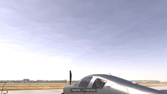 Microsoft Flight Simulator 2024 5_1_2025 11_48_44 AM