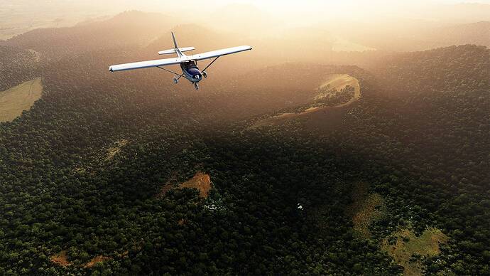 Microsoft Flight Simulator 2021-05-17 08_31_20