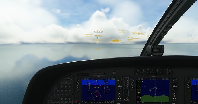 Microsoft Flight Simulator Screenshot 2022.05.16 - 20.15.23.01