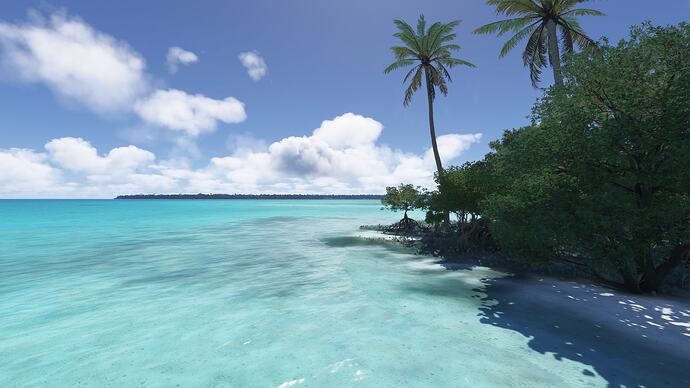 Leg 5 - NSFA to NCAI - 16 Snorkeling