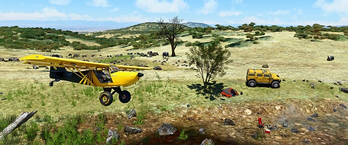 Microsoft Flight Simulator Screenshot 2023.10.01 - 13.11.20.81