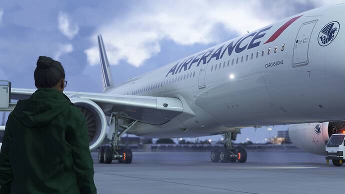 Microsoft Flight Simulator 2024-2026_02_05-17-13-40