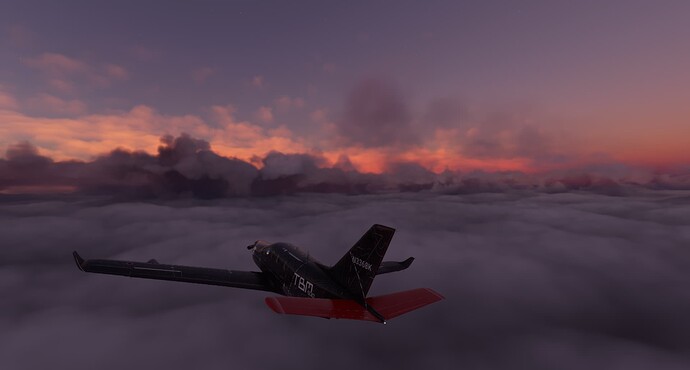 Microsoft Flight Simulator 10_7_2022 1_51_59 PM