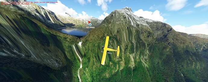NZ_fl_2