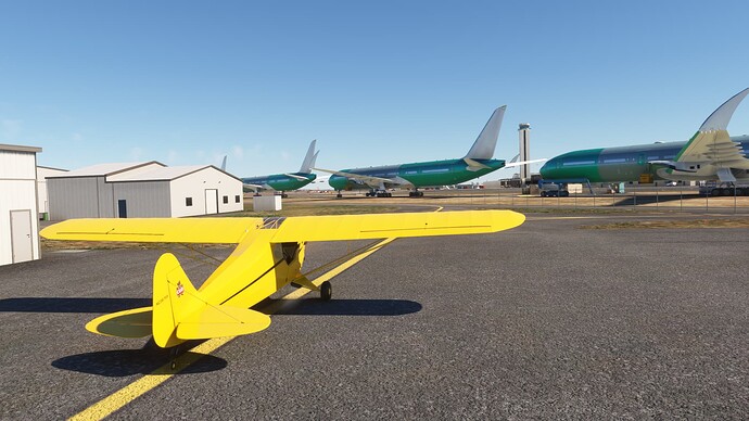 Microsoft Flight Simulator 6_25_2024 10_24_31 AM