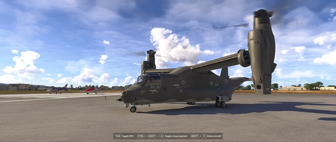 Microsoft Flight Simulator 2024 2025-06-20 12_07_22