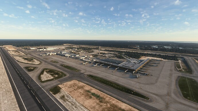 Microsoft-Flight-Simulator-05_03_2022-5_52_02-PM