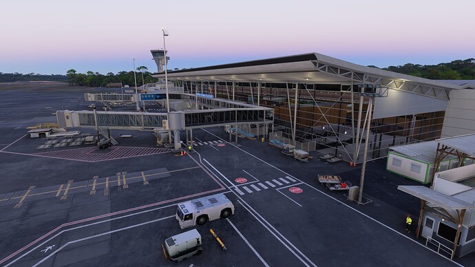 Microsoft Flight Simulator 2024 22_02_2025 03_38_37