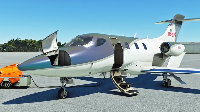 Microsoft Flight Simulator (6)