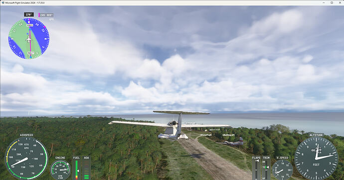Microsoft Flight Simulator 2024 10-Jul-26 21_09_01