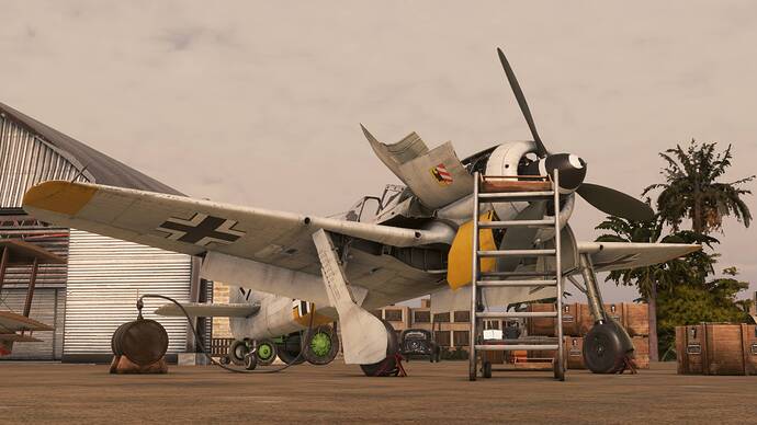 Microsoft Flight Simulator-2025_05_19-21-26-54