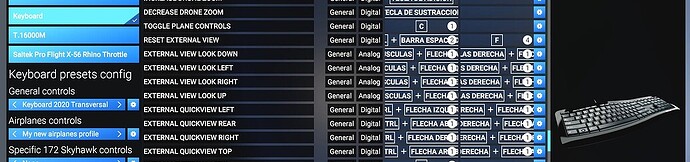 Controls too large MSFS2024