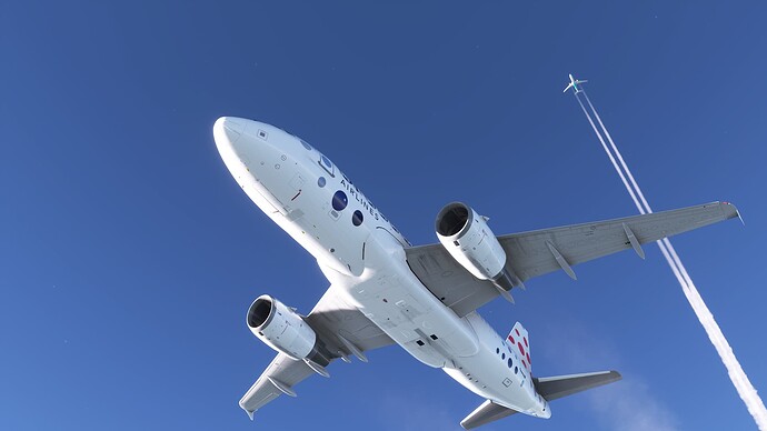 Microsoft Flight Simulator (11)