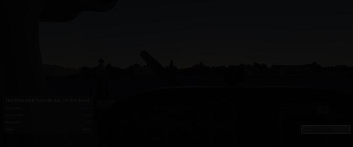 Microsoft Flight Simulator 4_7_2022 7_16_46 PM
