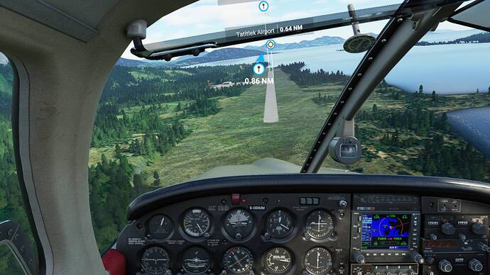Microsoft Flight Simulator 6_4_2021 8_12_01 PM